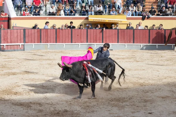 Maart 2023 Lissabon Portugal Tourada Bullfighter Arena Tegen Gewonde Stier — Stockfoto