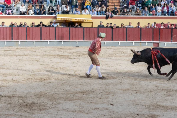 Maart 2023 Lissabon Portugal Tourada Stierenvechter Arena Veroorzaakt Gewonde Stier — Stockfoto