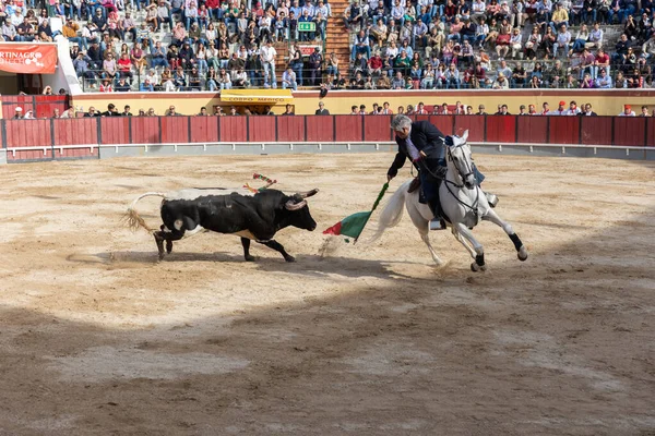 Maart 2023 Lissabon Portugal Tourada Volwassen Stierenvechter Paard Tegen Stier — Stockfoto