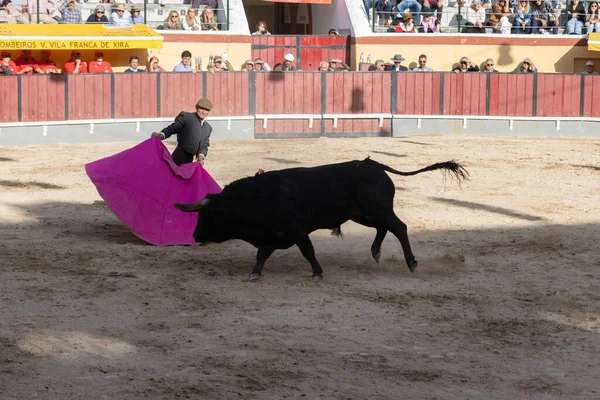 Maart 2023 Lissabon Portugal Tourada Stierenvechter Grijs Kostuum Provoceert Stier — Stockfoto