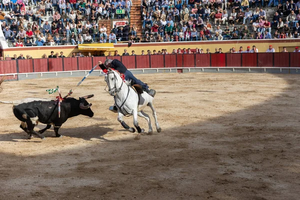 Mars 2023 Lissabon Portugal Tourada Tjurfäktare Hästryggen Som Hugger Tjur — Stockfoto