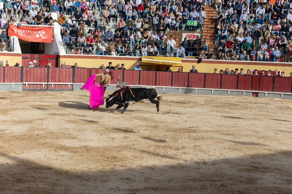 Maart 2023 Lissabon Portugal Tourada Stierenvechter Provoceert Gewonde Stier Met — Stockfoto