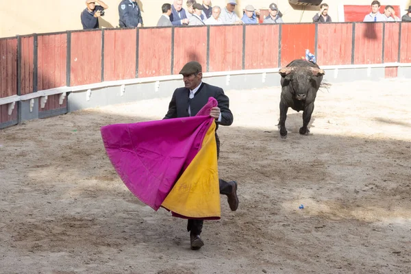 Maart 2023 Lissabon Portugal Tourada Stierenvechter Vlucht Voor Stier Met — Stockfoto