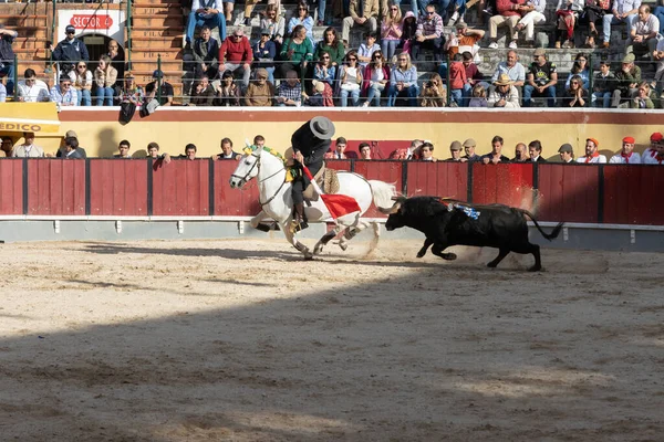 Março 2023 Lisboa Portugal Tourada Toureiro Cavalo Provoca Touro Com — Fotografia de Stock