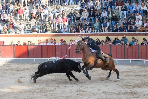 Março 2023 Lisboa Portugal Tourada Cavaleiro Cavalo Contra Touro Arena — Fotografia de Stock