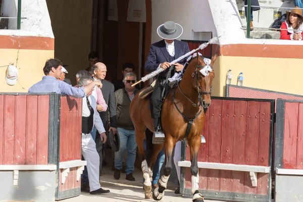 Mart 2023 Lizbon Portekiz Tourada Atlı Süvariler Otlaktan Mızrakla Arenaya — Stok fotoğraf