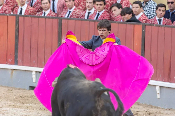 Maart 2023 Lissabon Portugal Tourada Stierenvechter Provoceert Stier Met Een — Stockfoto