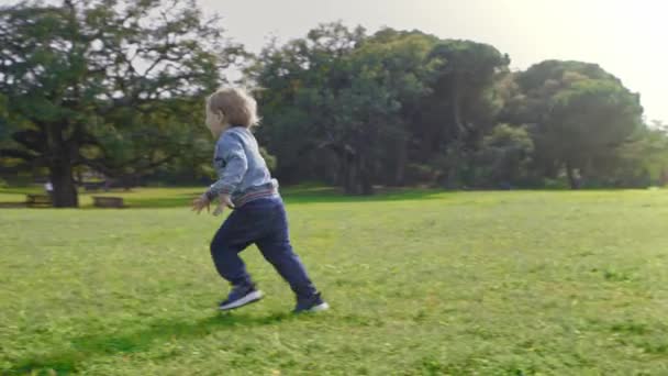 Ein Kleiner Junge Rennt Und Fällt Seiner Mutter Park Die — Stockvideo