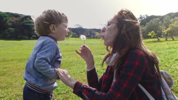 Nette Mutter Mit Ihrem Kleinen Sohn Bläst Auf Einem Löwenzahn — Stockvideo