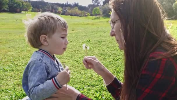Matka Svým Synem Fouká Pampelišku Zatímco Sedí Zeleném Poli Střední — Stock video