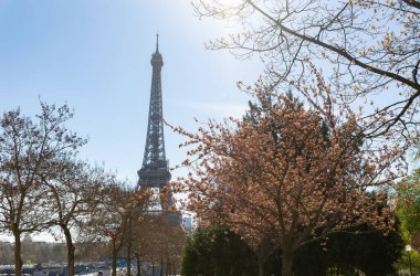 4 Nisan 2023 Paris, Fransa Eyfel Kulesi ve ön planda ağaçlar. Orta çekim