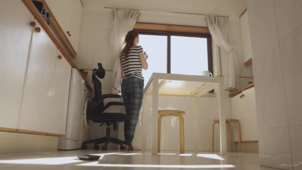 Yetişkin Bir Hanımı Mutfağın Pencerelerini Temizliyor Alt Manzara Orta Çekim — Stok video
