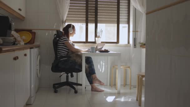 Une Femme Affaires Casque Qui Travaille Cuisine Caresse Son Chat — Video