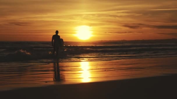 Silhouet Van Een Atleet Die Bij Zonsondergang Zee Gaat Met — Stockvideo