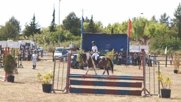 Kwietnia 2023 Sobreda Portugalia Festiwal Hipico Sobreda Chłopiec Spacerujący Koniu — Wideo stockowe