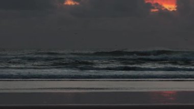 Kara fırtınalı havada dalgalı deniz ve üzerinde kuşlar uçuyor. Orta çekim