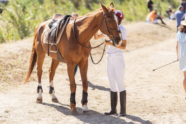 Cavaleiro Fêmea Fica Lado Cavalo Marrom Livre Meio Tiro — Fotografia de Stock