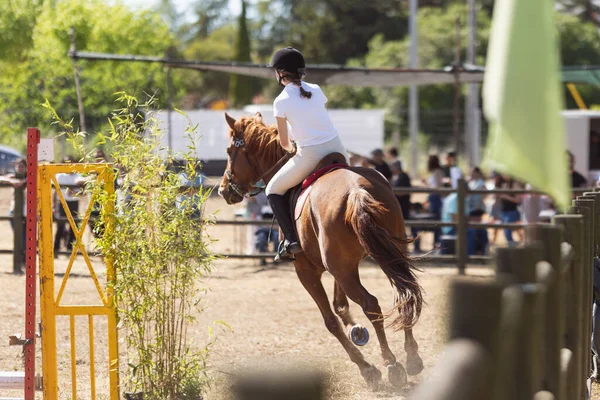 Uma Menina Montando Cavalo Arena Livre Meio Tiro — Fotografia de Stock