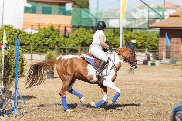Cavaleira Montando Cavalo Manchado Arena Livre Meio Tiro — Fotografia de Stock