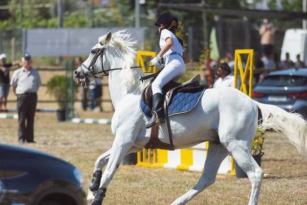 馬術スポーツ 白の制服を着た小さな女の子が牧場で馬に乗って競い合っています ミッドショット — ストック写真