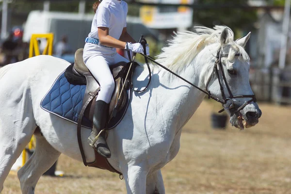 Ιππασίας Άθλημα Ένα Μικρό Κορίτσι Λευκή Στολή Ιππασίας Λευκό Άλογο — Φωτογραφία Αρχείου