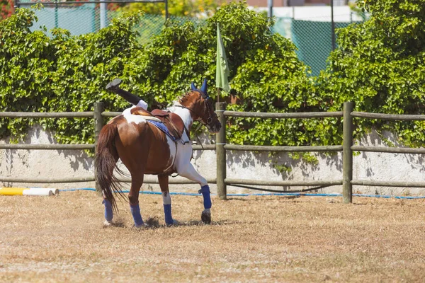 Esporte Equestre Uma Criança Que Cai Cavalo Rancho Meio Tiro — Fotografia de Stock