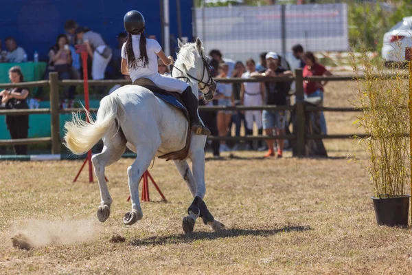 Equestrian Sport Girl Uniform Riding White Horse Ranch Mid Shot — Stock Photo, Image
