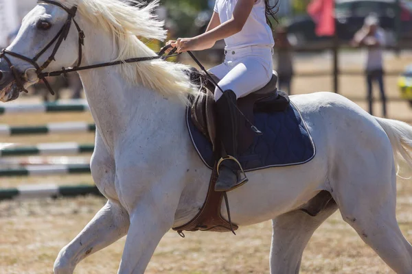 馬術スポーツ 牧場で均一な乗馬白い馬の小さな女の子 ミッドショット — ストック写真