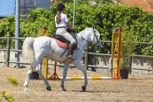 马术运动 一个身穿白色制服的女孩骑着白马在牧场 — 图库照片