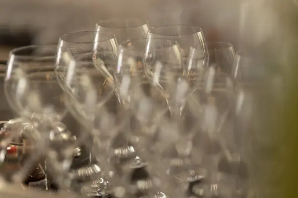 stock image Blurred clean wine glasses standing in a rows. Mid shot