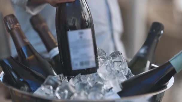 Člověk Vezme Láhev Šampaňského Kbelíku Plného Ledu Střední Snímek — Stock video