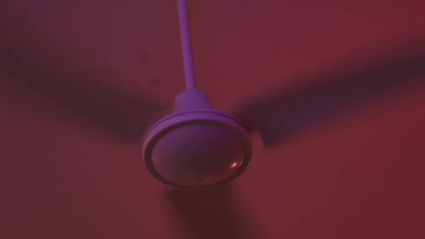 Kühlventilator Unter Der Decke Rosa Beleuchtung Mittelschuss — Stockvideo