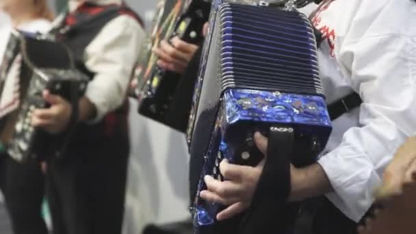 People Folk Clothes Playing Accordion Mid Shot — Stock Video