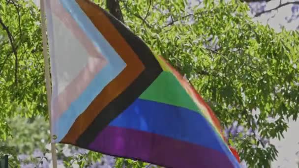 Bandera Orgullo Progreso Lgbtqia Parque Mid Shot — Vídeo de stock