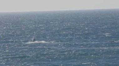 Okyanusta rüzgar sörfü yapan biri. Orta çekim