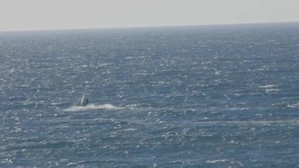 Людина Займається Віндсерфінгом Океані Середній Постріл — стокове відео