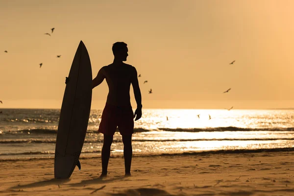 Silueta Surfista Deportivo Bombeado Playa Atardecer Mid Shot — Foto de Stock