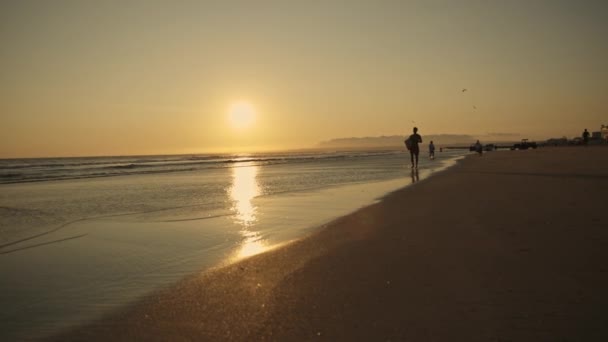 Silhuett Surfare Som Springer Stranden Vid Solnedgången Mittskott — Stockvideo