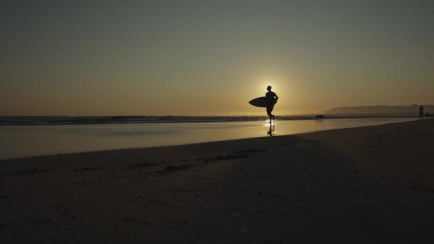 Silhueta Surfista Correr Costa Pôr Sol Meio Tiro — Vídeo de Stock