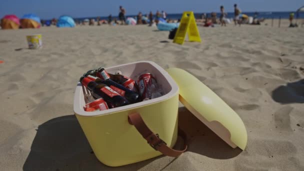 ビールはビーチのポータブルアイスコンテナ ミッドショット — ストック動画