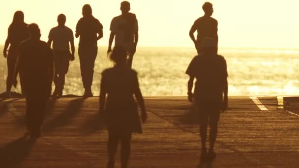 Jóvenes Caminando Por Mar Atardecer Temprano Mid Shot — Vídeos de Stock