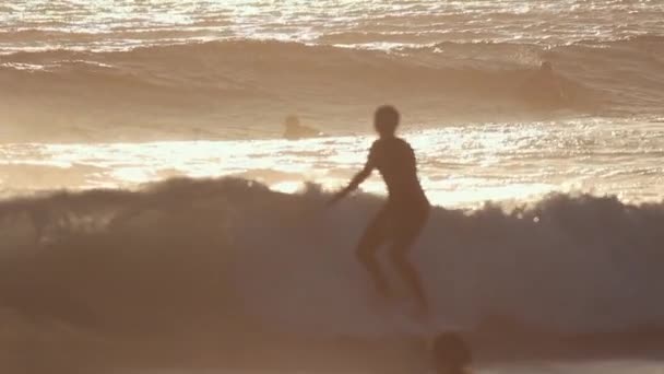 Sörfçü Gün Batımında Deniz Dalgalarında Sörf Yapıyor Orta Çekim — Stok video