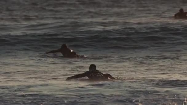 Surfers Zwemmen Surfplanken Zee Bij Zonsondergang Tussenschot — Stockvideo