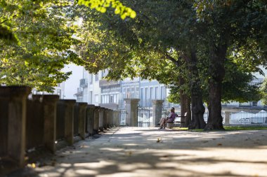 Yaz mevsiminde bir park - bitki ve banka sahip bir ara sokak - Avrupa kenti, telefoto çekimi