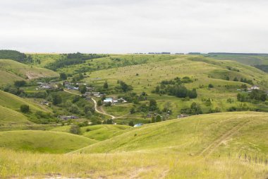 Bir sürü ağaçla kaplı yemyeşil bir yamaç.