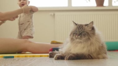Büyük kızgın tüylü evcil kedi yerde yatıyor ve arka planda annesiyle oynayan küçük bir bebek var. Orta çekim