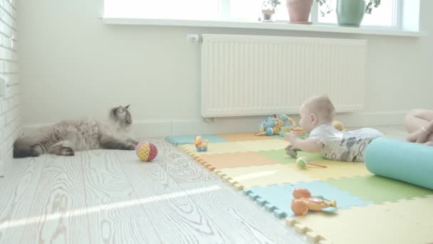 Małe Dziecko Bawiące Się Zabawkami Czołgające Się Bliżej Kota Środek — Wideo stockowe