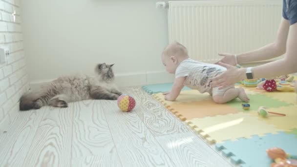 Bebezinho Brincando Com Seus Brinquedos Rastejando Para Mais Perto Gato — Vídeo de Stock