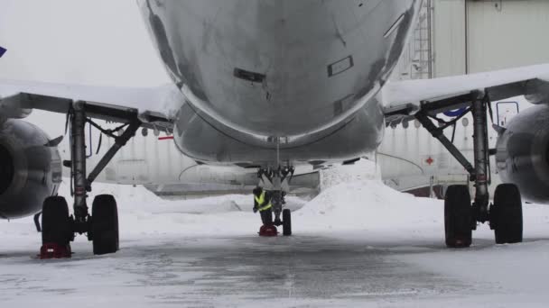 Grote Passagiers Vliegtuig Vliegtuig Het Vliegveld Een Man Werknemer Loopt — Stockvideo