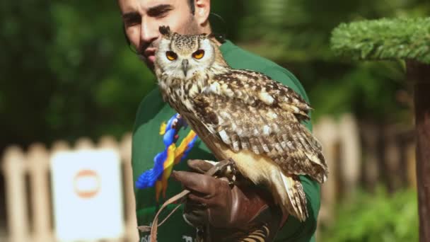 November 2023 Lisbon Portugal Jardim Zoologico Zoo Worker Holding Owl — Stock Video